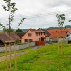 Želvice