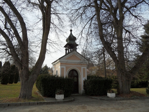 Malenovice (Suchdol)