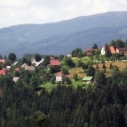 Hrčava