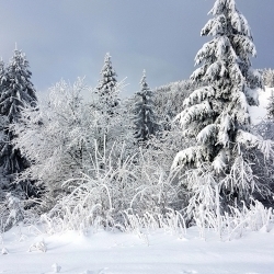 Červenohorské sedlo