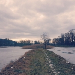 Třemešek