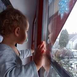 Vojtíšek a výhled z okna