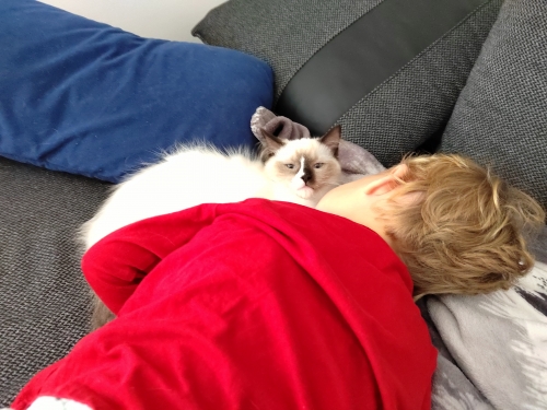 Vojtíšek 2 roky ❤️se zvířátkama