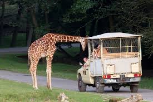 Zoo Dvůr Králové