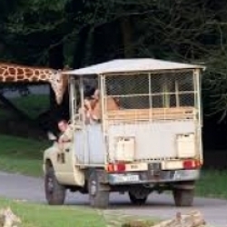 Zoo Dvůr Králové
