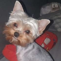 Lilinka - 1. narozeniny