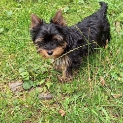 Uffínek jsem malý, ale šik...