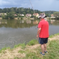 Amur bere