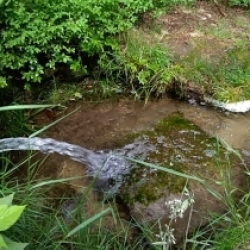 Lesní studánka