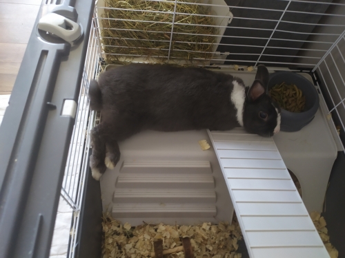 Ňufna