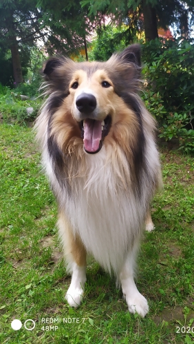 Leo