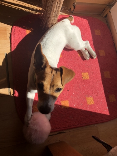 Mia?❤️
