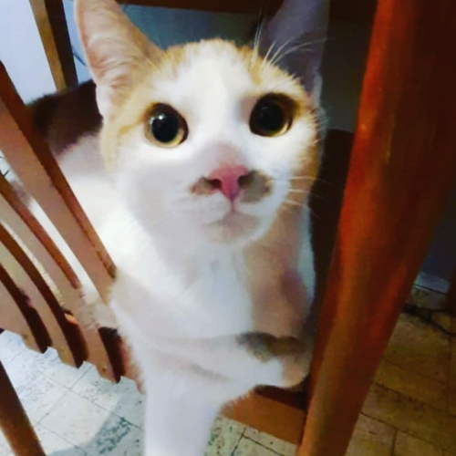 Charlie