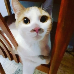 Charlie