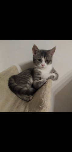 Minnie