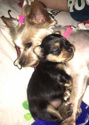 Sisinka & Snoppy
