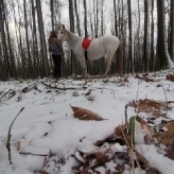 Fortunka