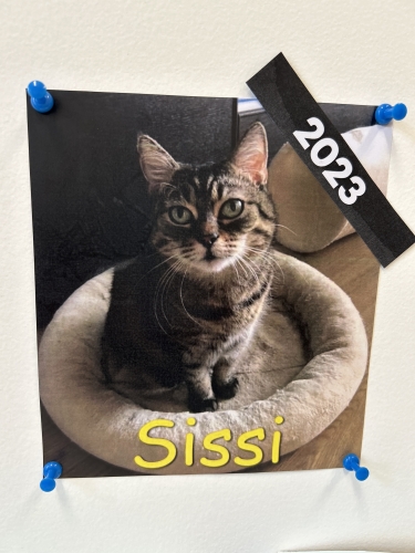 Sissi
