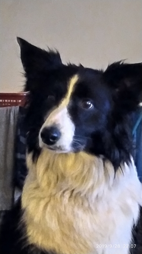 Amy