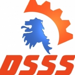 DSSS