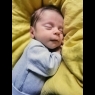 Nikolas