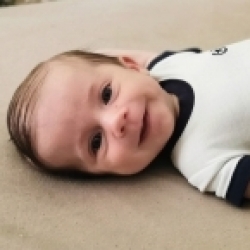 Nikolas
