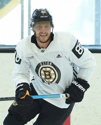 David Pastrňák