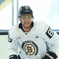 David Pastrňák